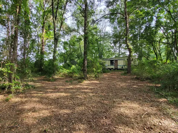 1082 MS-590 E, Seminary, MS 39479