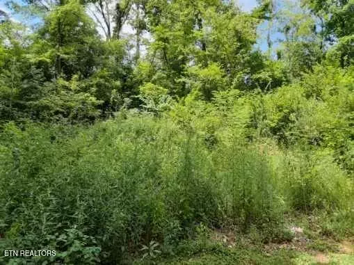 2036 Ridge Rd #16, Pigeon Forge, TN 37863