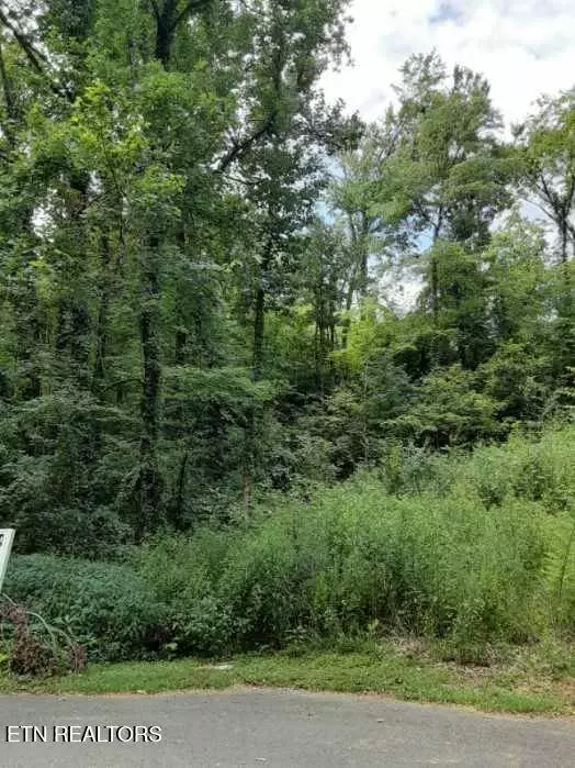 2036 Ridge Rd #16, Pigeon Forge, TN 37863