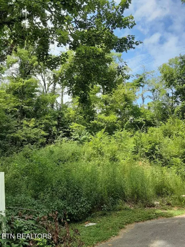 2036 Ridge Rd #16, Pigeon Forge, TN 37863