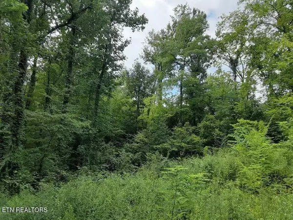 2036 Ridge Rd #16, Pigeon Forge, TN 37863