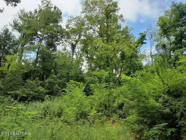 2036 Ridge Rd #16, Pigeon Forge, TN 37863