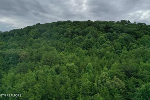 66.48 acres Milldale Rd, Dandridge, TN 37725