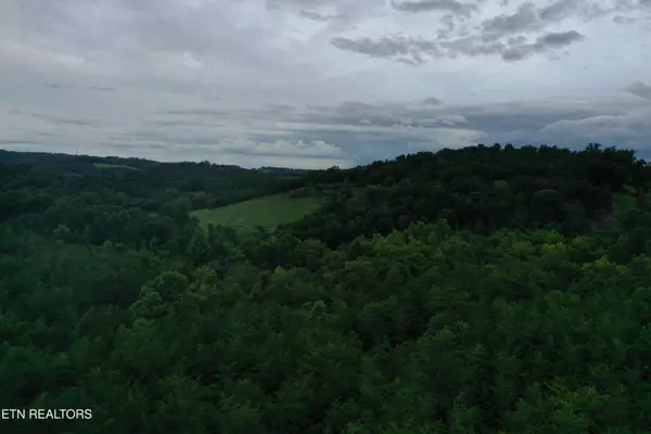 66.48 acres Milldale Rd, Dandridge, TN 37725