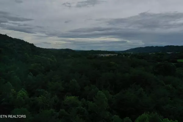 66.48 acres Milldale Rd, Dandridge, TN 37725