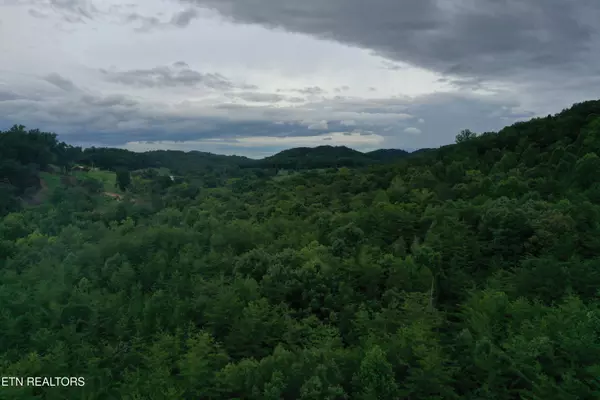 66.48 acres Milldale Rd, Dandridge, TN 37725