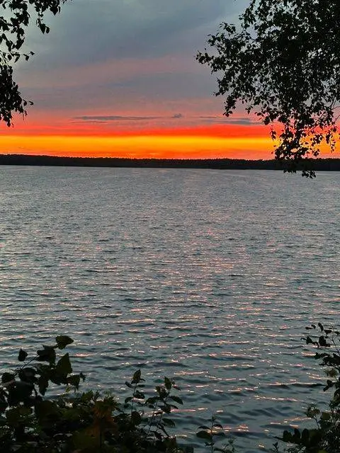 321 Avery Point RD, Kawartha Lakes, ON L0K 1W0