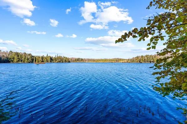 1314 Mannies TRL, Algonquin Highlands, ON K0M 1S0