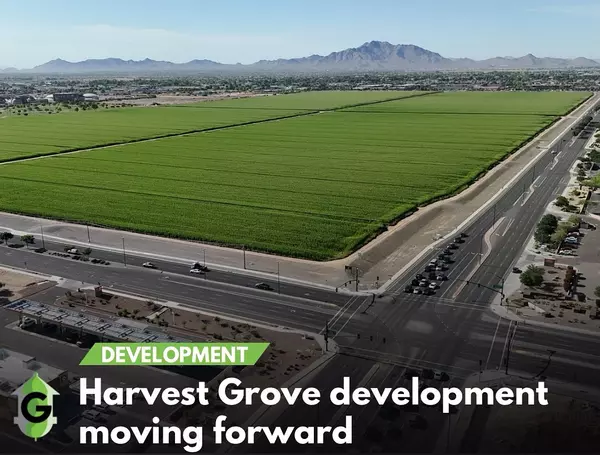 Harvest Grove on Val Vista and Germann