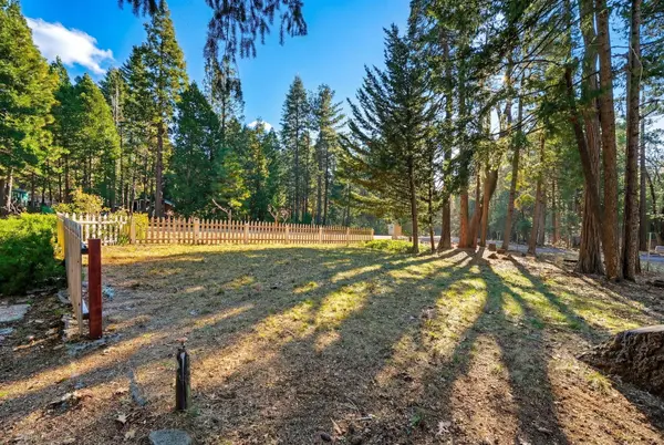 8489 Starlite Pines RD, Shingletown, CA 96088
