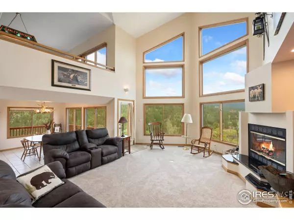 366 N Rim Rd, Livermore, CO 80536