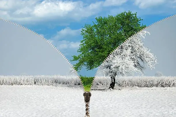 The Seasonal Shift That Sparks Home Sales Every Year