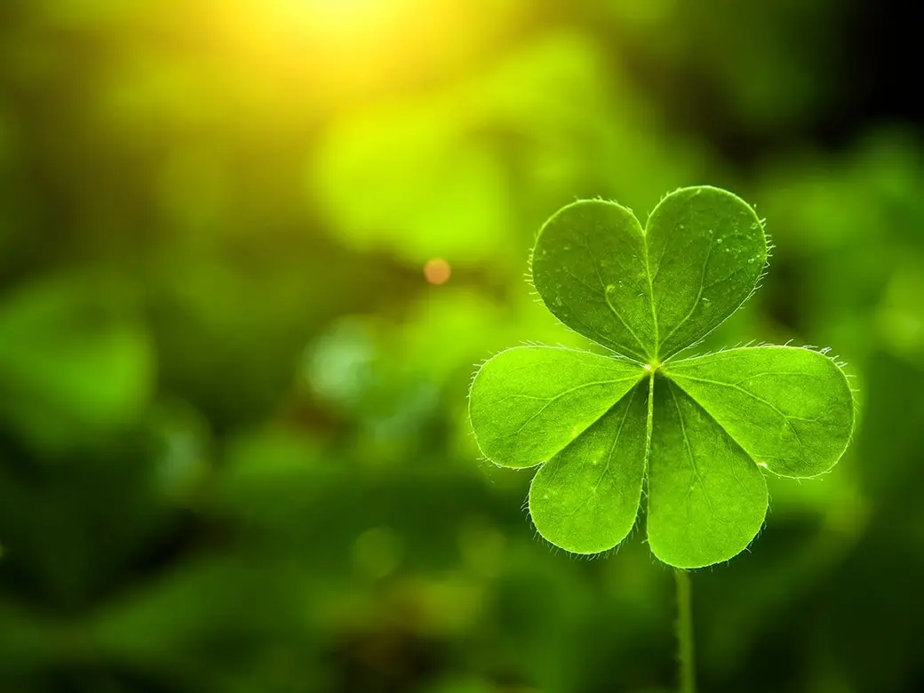 St. Patrick’s Day, Luck, and the Search for Your Pot of Gold in Real Estate