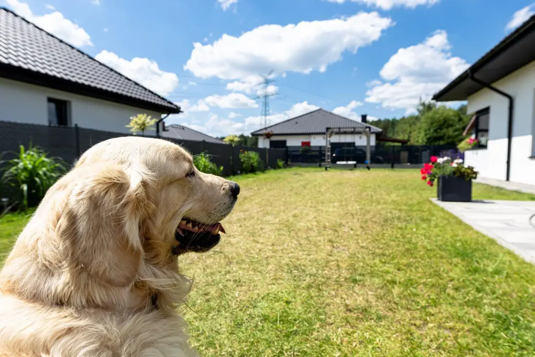Creating a Pet-Friendly Home Buyers Will Love