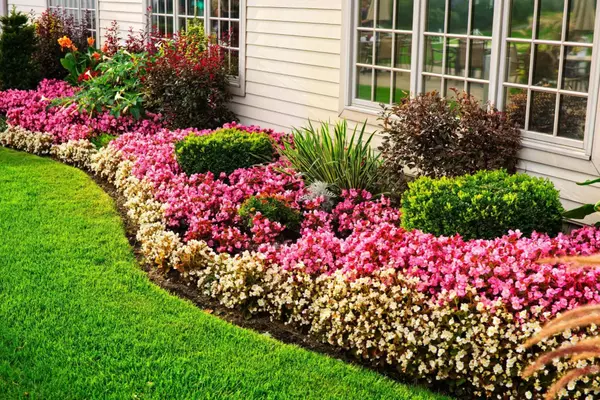 The Best Time to Plant Flowers — and Why It Matters for Curb Appeal