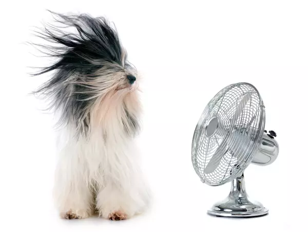 Keep It Cool: Summer Home Cooling Tips That Impress Buyers and Beat the Heat