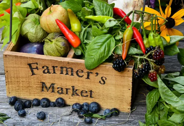 Why I Love Farmers Markets — and How They Help Small Towns Thrive