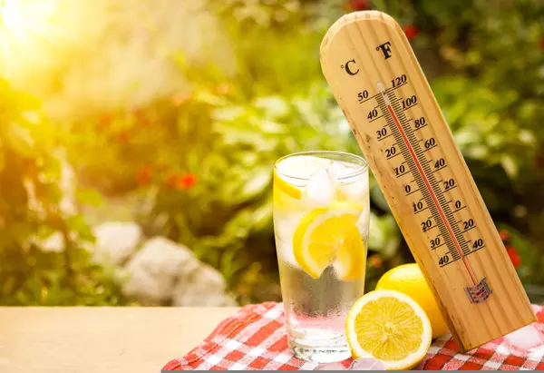 5 Simple Ways to Save Energy While Beating the Summer Heat