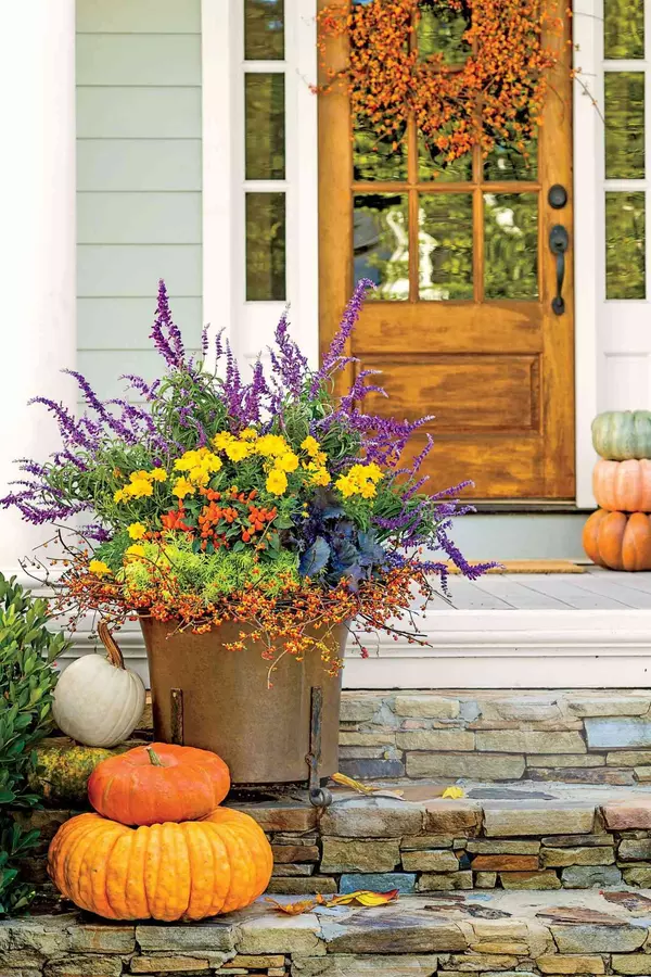 Fall Plants, Cooler Weather, and Real Estate