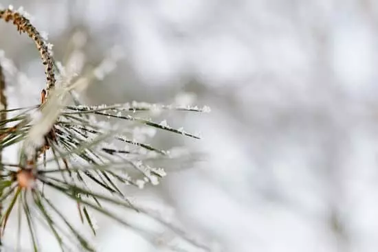 How to Reduce Heating Costs This Winter Without Giving Up Comfort