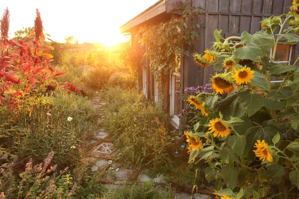 Getting Your Yard Ready for Fall Without Wishing Summer Away