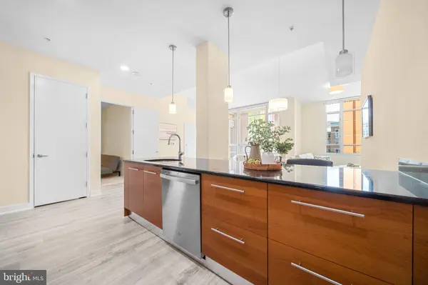 12025 NEW DOMINION PKWY #204, Reston, VA 20190