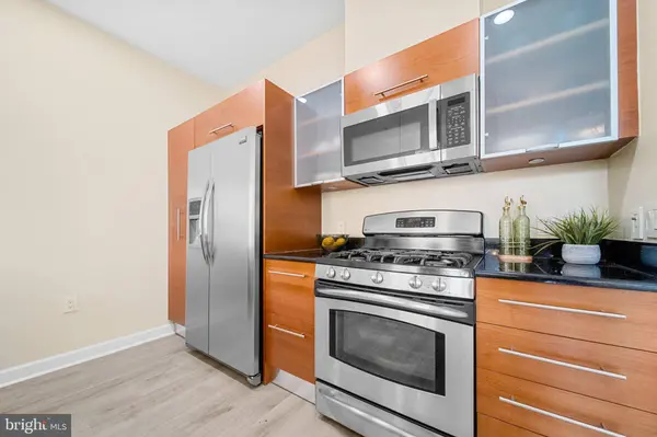 12025 NEW DOMINION PKWY #204, Reston, VA 20190