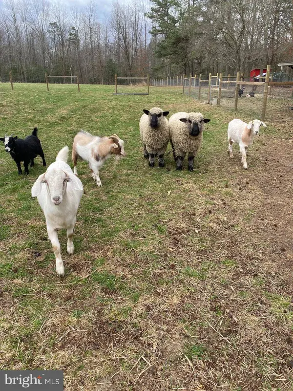 0 ANGELOW RD, Berlin, NJ 08009