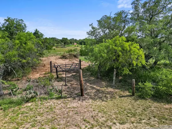 323 County Road 6720, Natalia, TX 78059