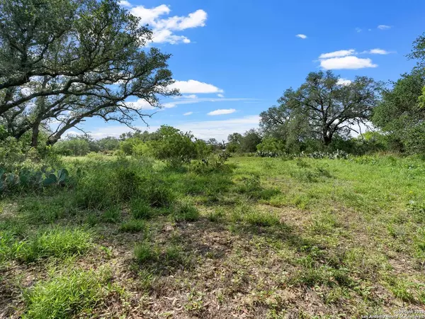 323 County Road 6720, Natalia, TX 78059