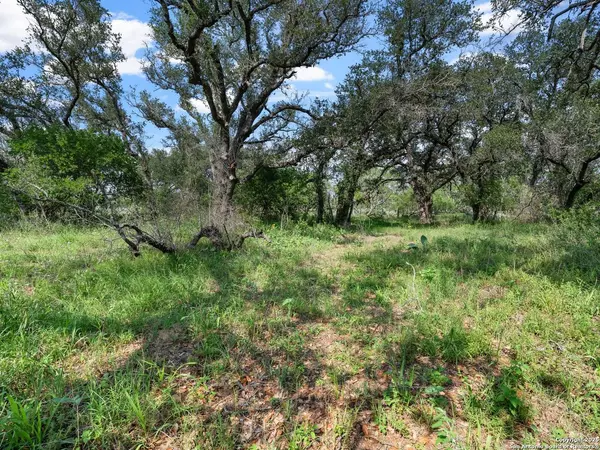 323 County Road 6720, Natalia, TX 78059