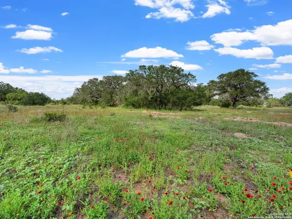 323 County Road 6720, Natalia, TX 78059