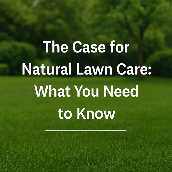 The Case for Natural Lawn Care: What You Need to Know