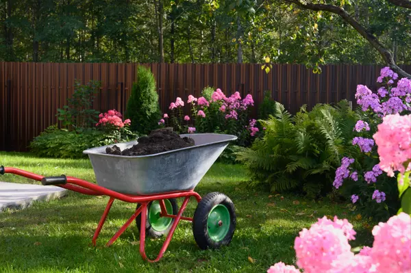 5 Secrets to a Thriving Lawn in Michigan’s Climate