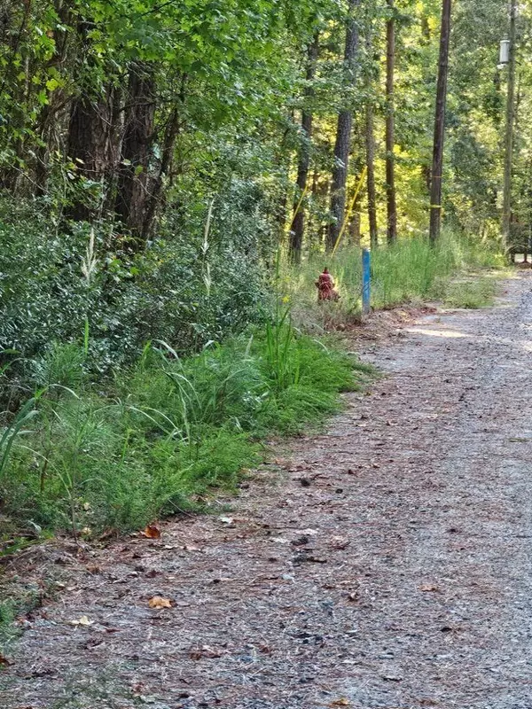 BLK 14 LOT 05 Quince Court, Waverly Hall, GA 31831