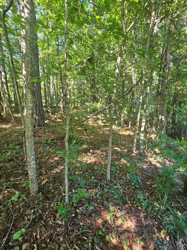 LOT21F Lakeshore Drive, Waverly Hall, GA 31831