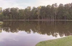 BLK 29 LOT 31 Heather Circle, Waverly Hall, GA 31831