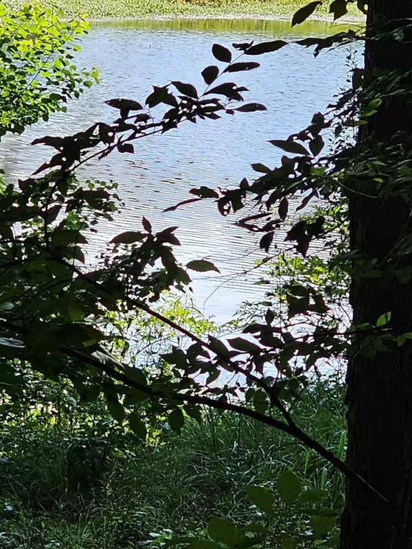 LOT21F Lakeshore Drive, Waverly Hall, GA 31831