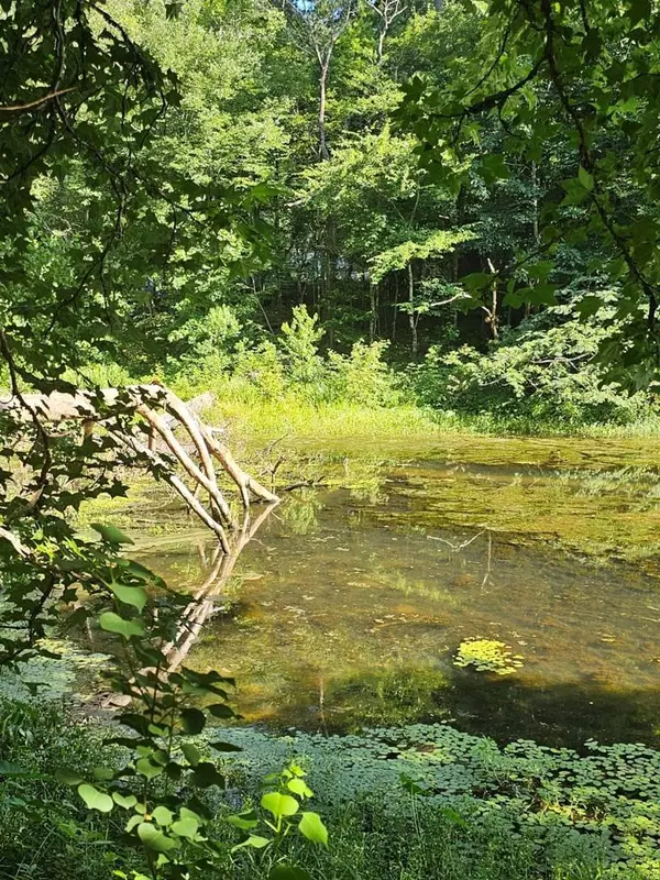 LOT21F Lakeshore Drive, Waverly Hall, GA 31831