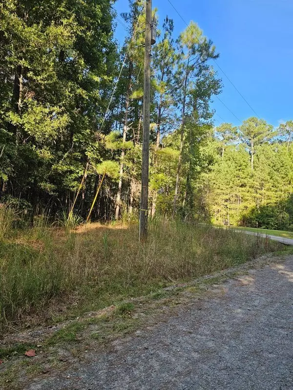 BLK 14 LOT 05 Quince Court, Waverly Hall, GA 31831