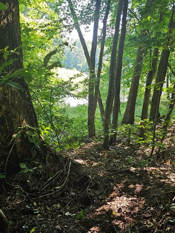 LOT21F Lakeshore Drive, Waverly Hall, GA 31831