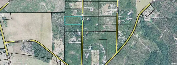 0 Allen Drive, Mauk, GA 31058