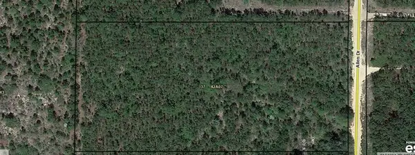 0 Allen Drive, Mauk, GA 31058