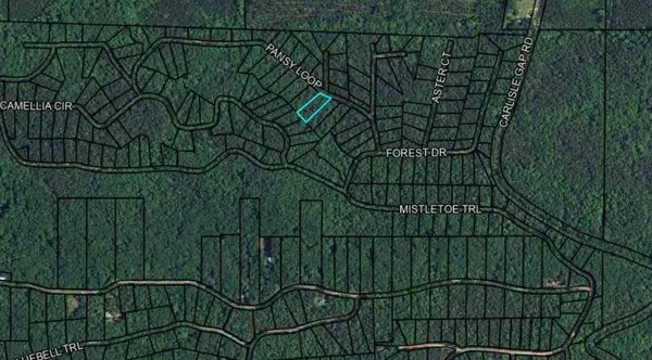 BLK 79 LOT 07 Pansy Loop, Waverly Hall, GA 31831