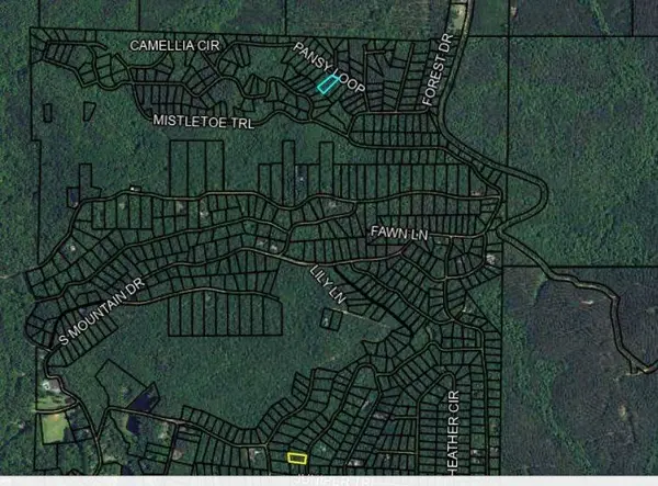 BLK 79 LOT 07 Pansy Loop, Waverly Hall, GA 31831