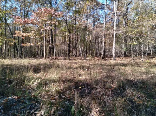 BLK 23 LOT24 Honeysuckle Circle, Waverly Hall, GA 31831
