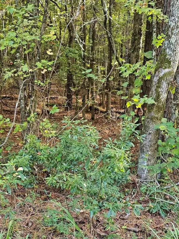 BLK 14 LOT 6 Quince Court, Waverly Hall, GA 31831