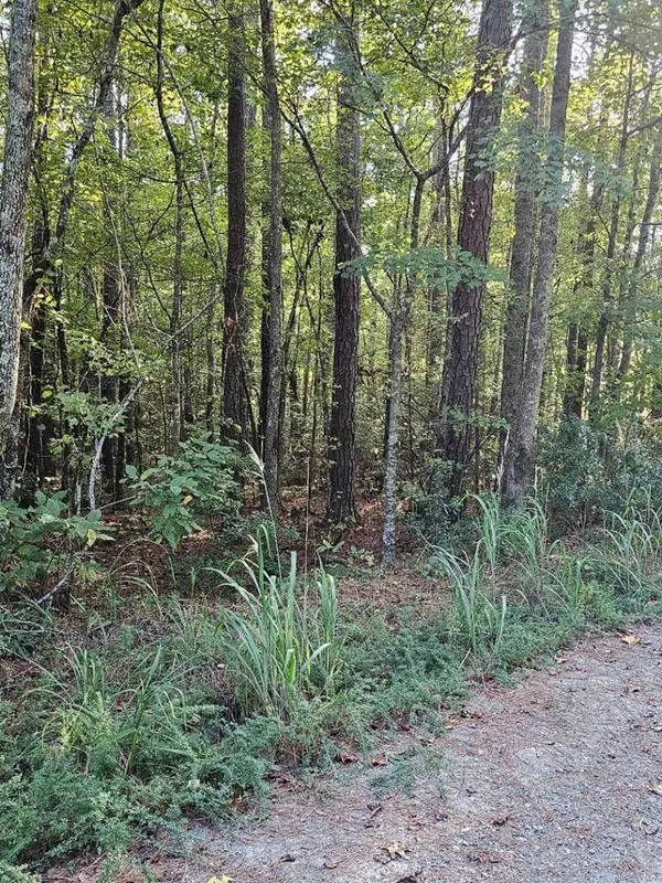BLK 14 LOT 6 Quince Court, Waverly Hall, GA 31831