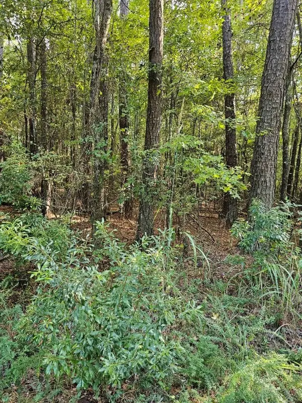 BLK 14 LOT 6 Quince Court, Waverly Hall, GA 31831