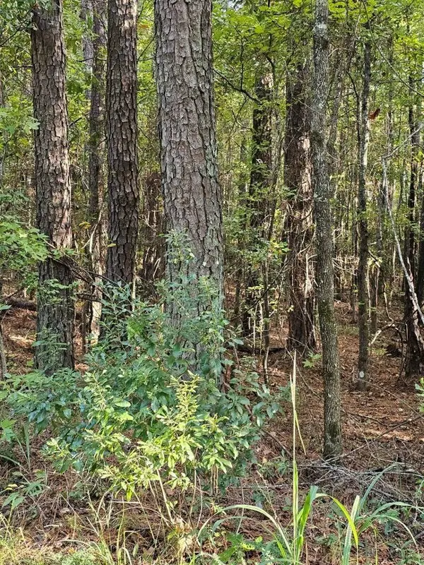 BLK 14 LOT 6 Quince Court, Waverly Hall, GA 31831
